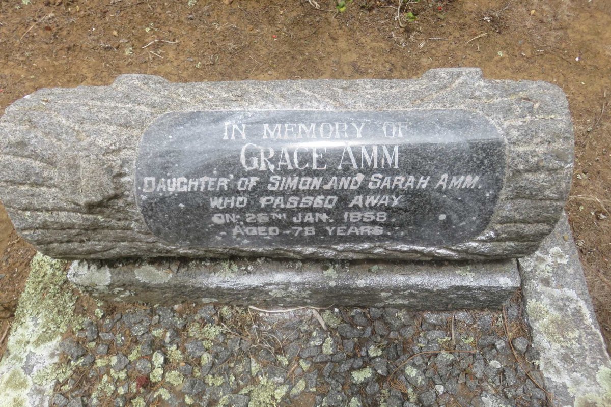 AMM Grace -1858
