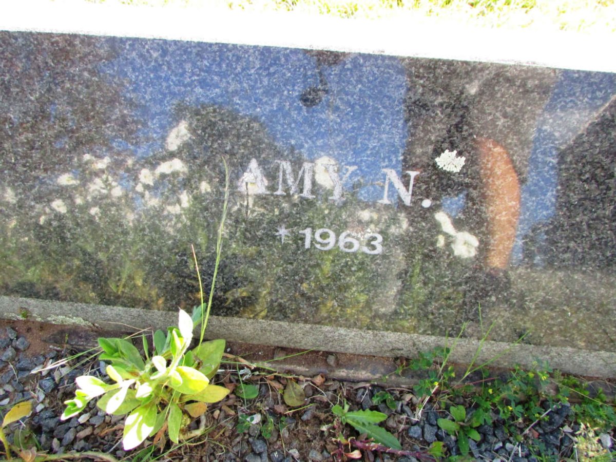 EMSLIE Amy N. 1963-