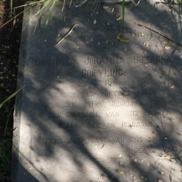 GREYLING Cathrina Johanna Suzanna nee HENNING 1846-1919