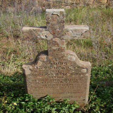 ISTED Sarah Ann Upcott Durrey -1886