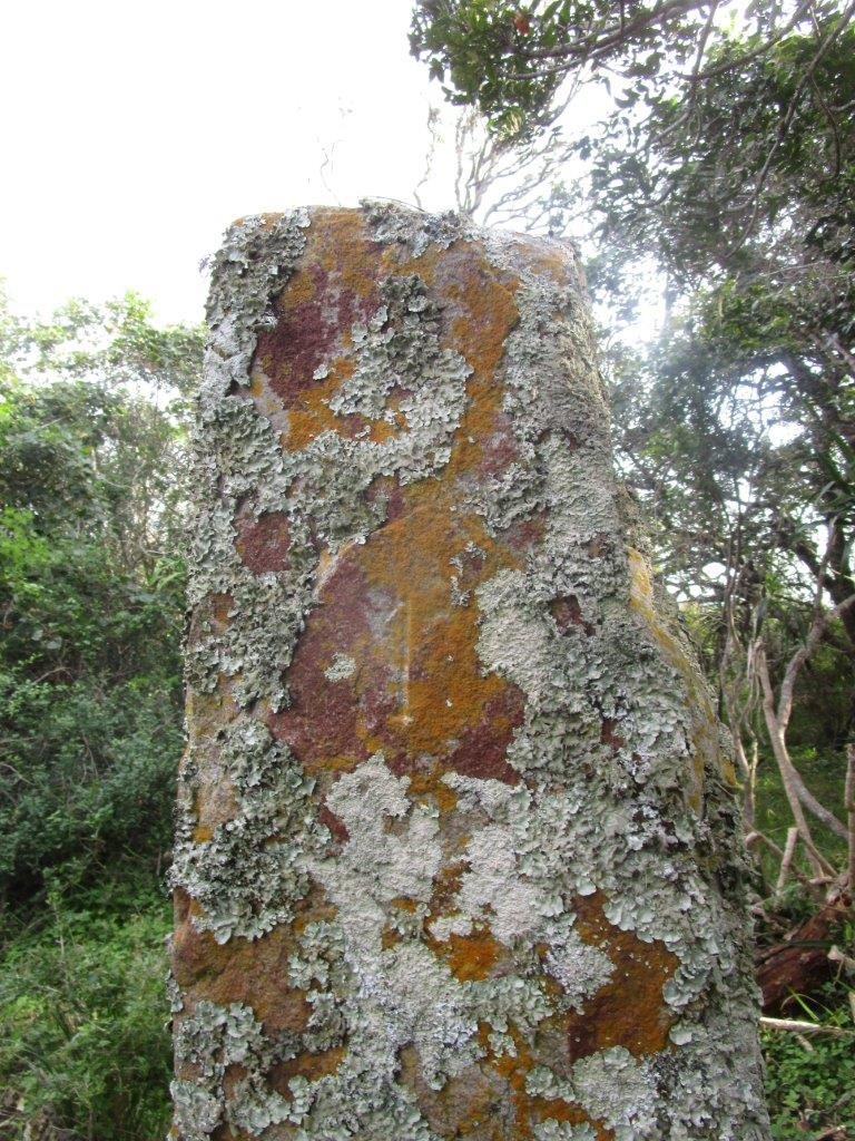 Stone No 1 - BOWKER Miles 1756-1838