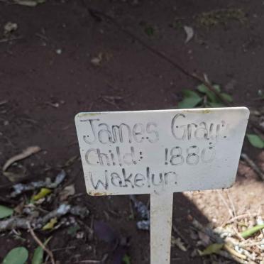 GRAY Wakelyn -1880