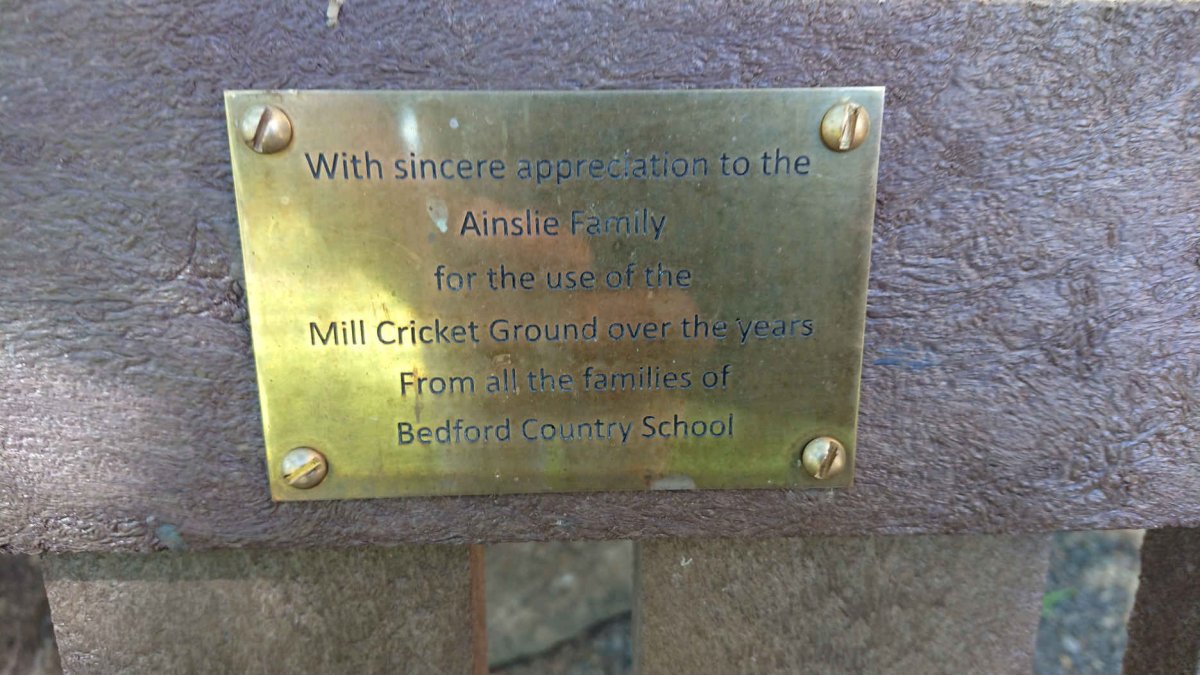 6. Plaque