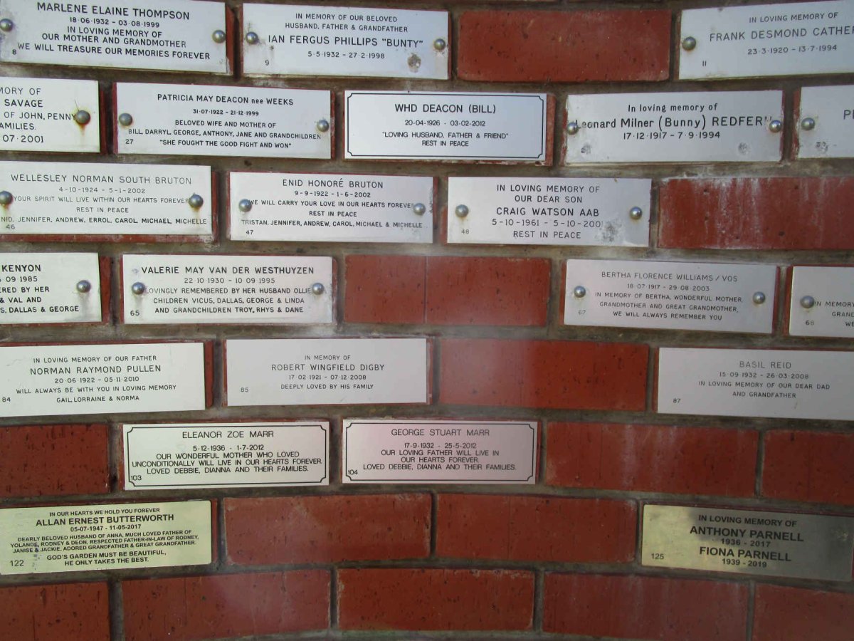 Panel 4