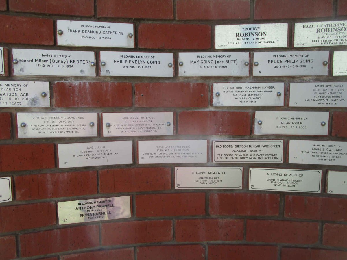 Panel 5