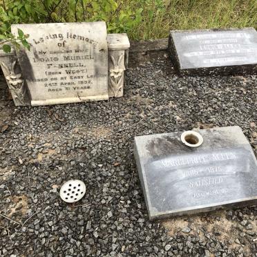 6. Overview FENNELL and ALLEN gravestones