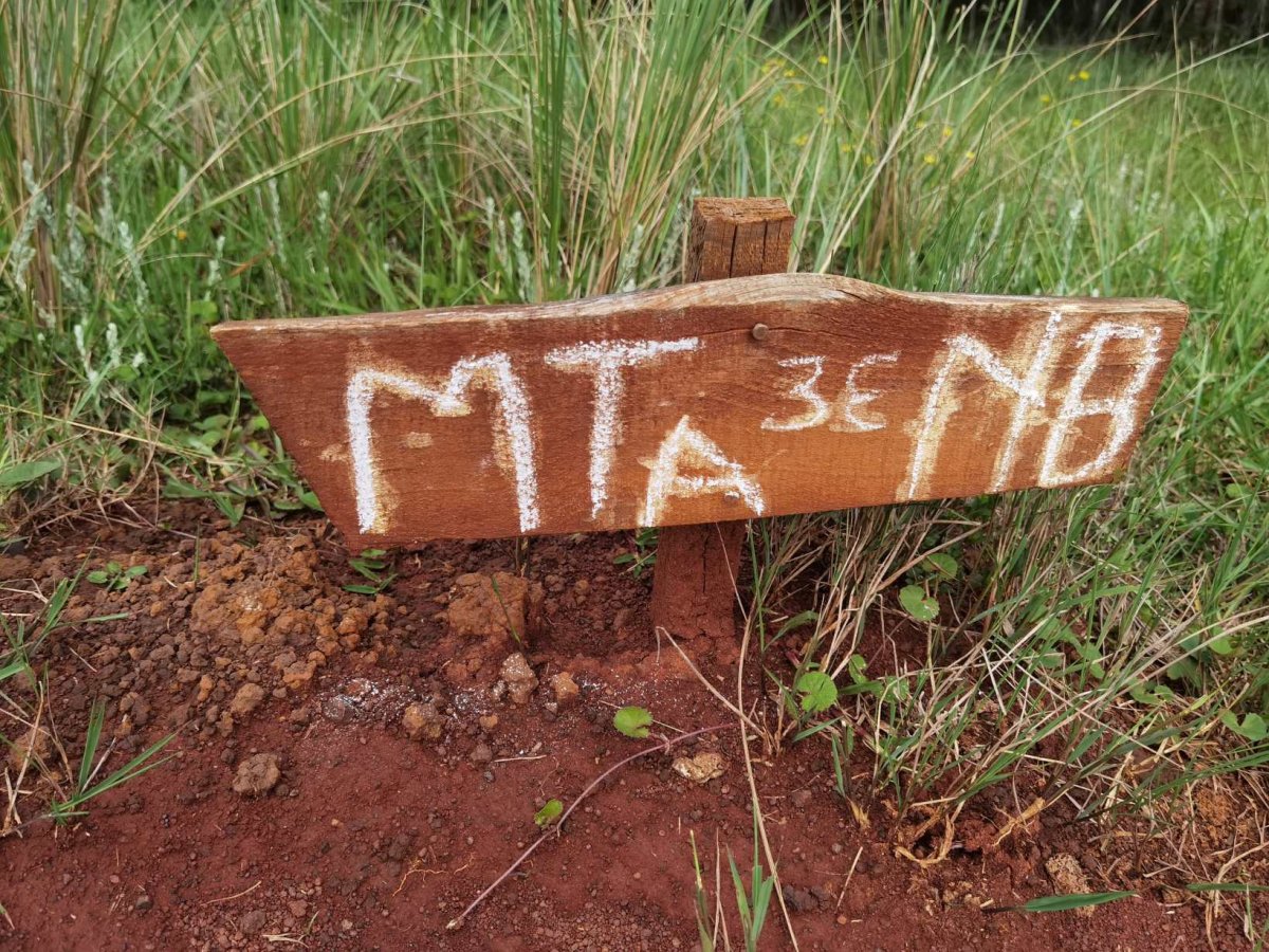 TA?NB M.