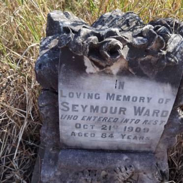 WARD Seymour -1909