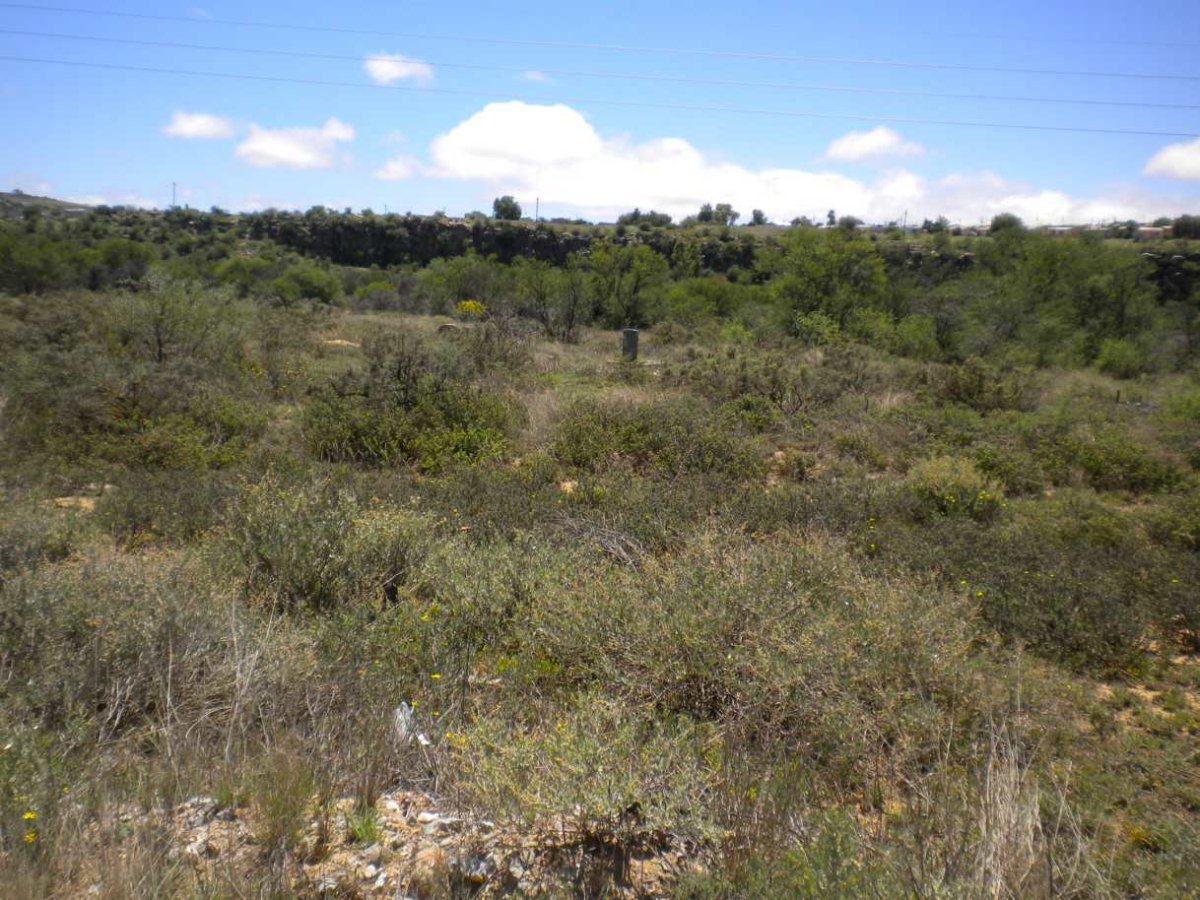 2. Overview