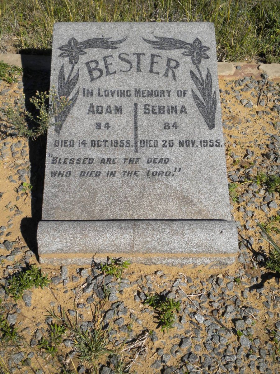 BESTER Adam -1955 &amp; Sebina -1955