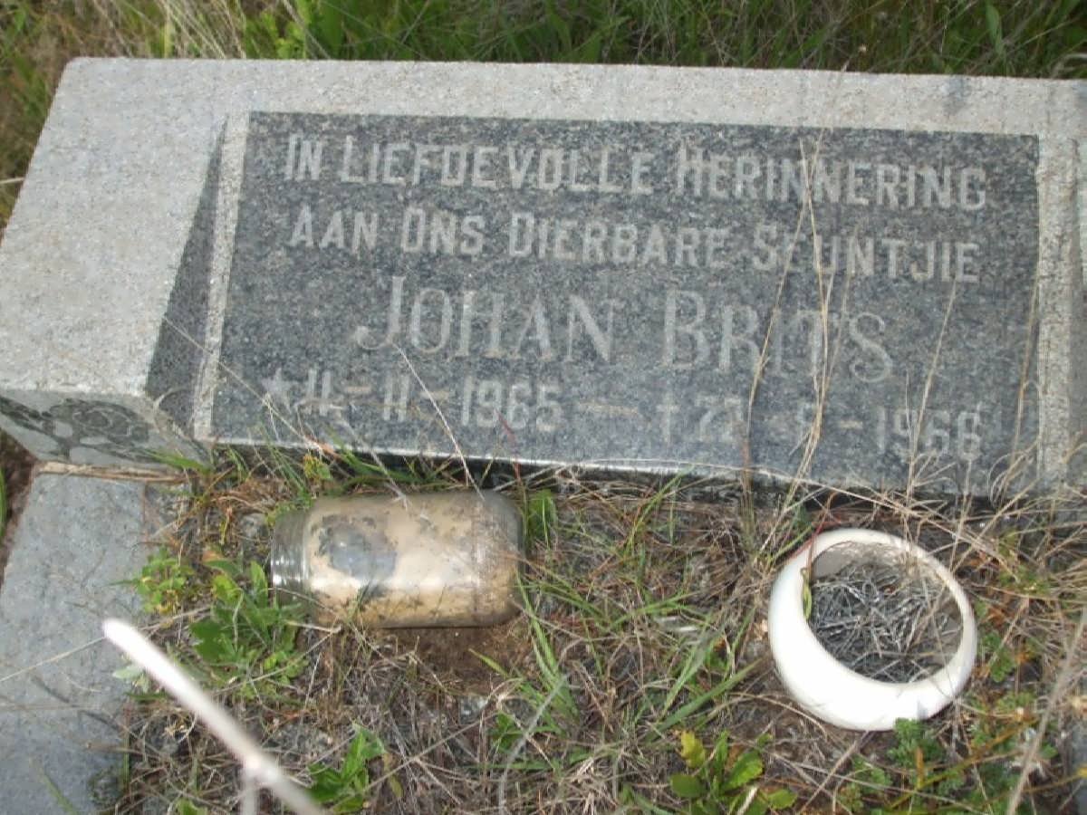 BRITS Johan 1965-1966