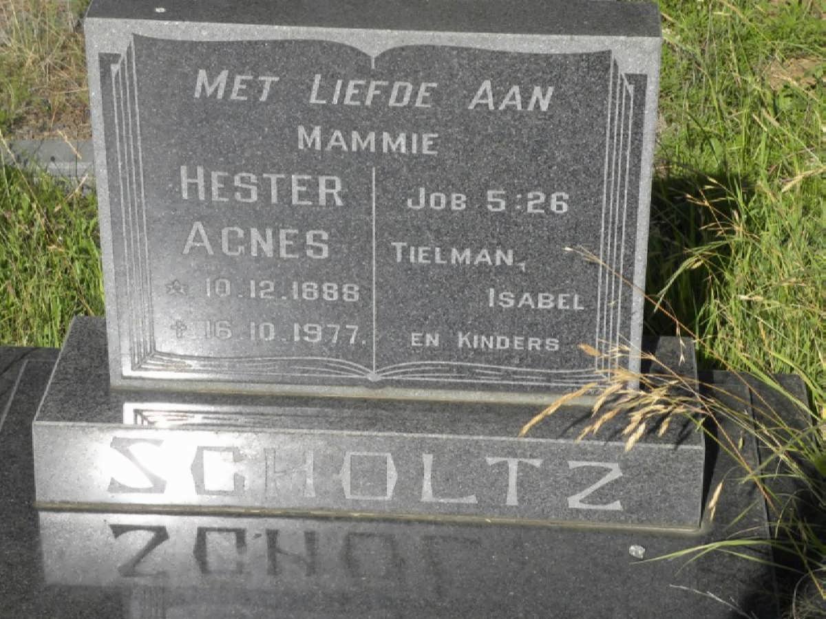 SCHOLTZ Hester Agnes 1888-1977