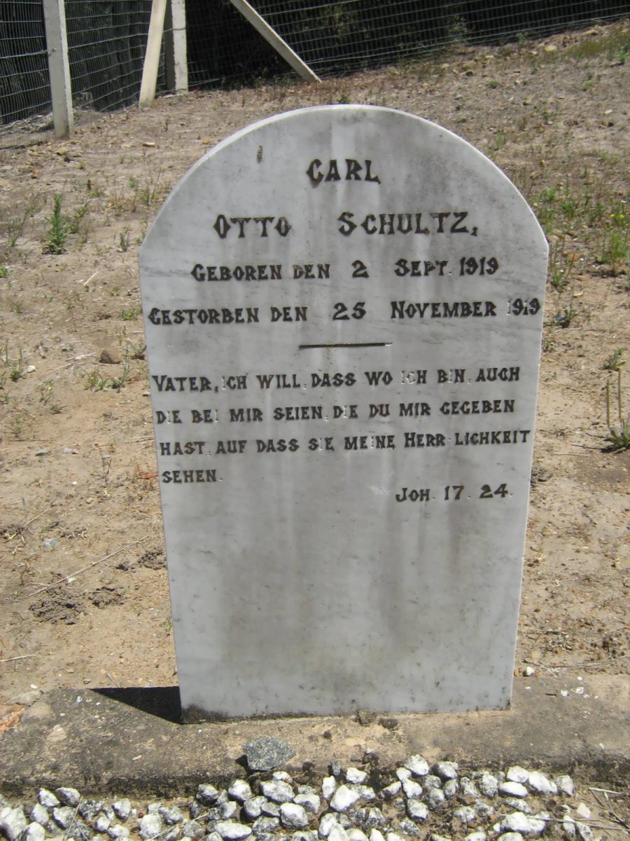 SCHULTZ Carl Otto 1919-1919