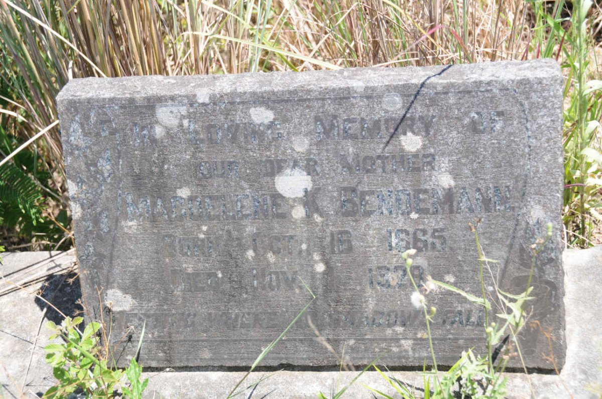 BENDEMANN Magdalene K. 1865-1928