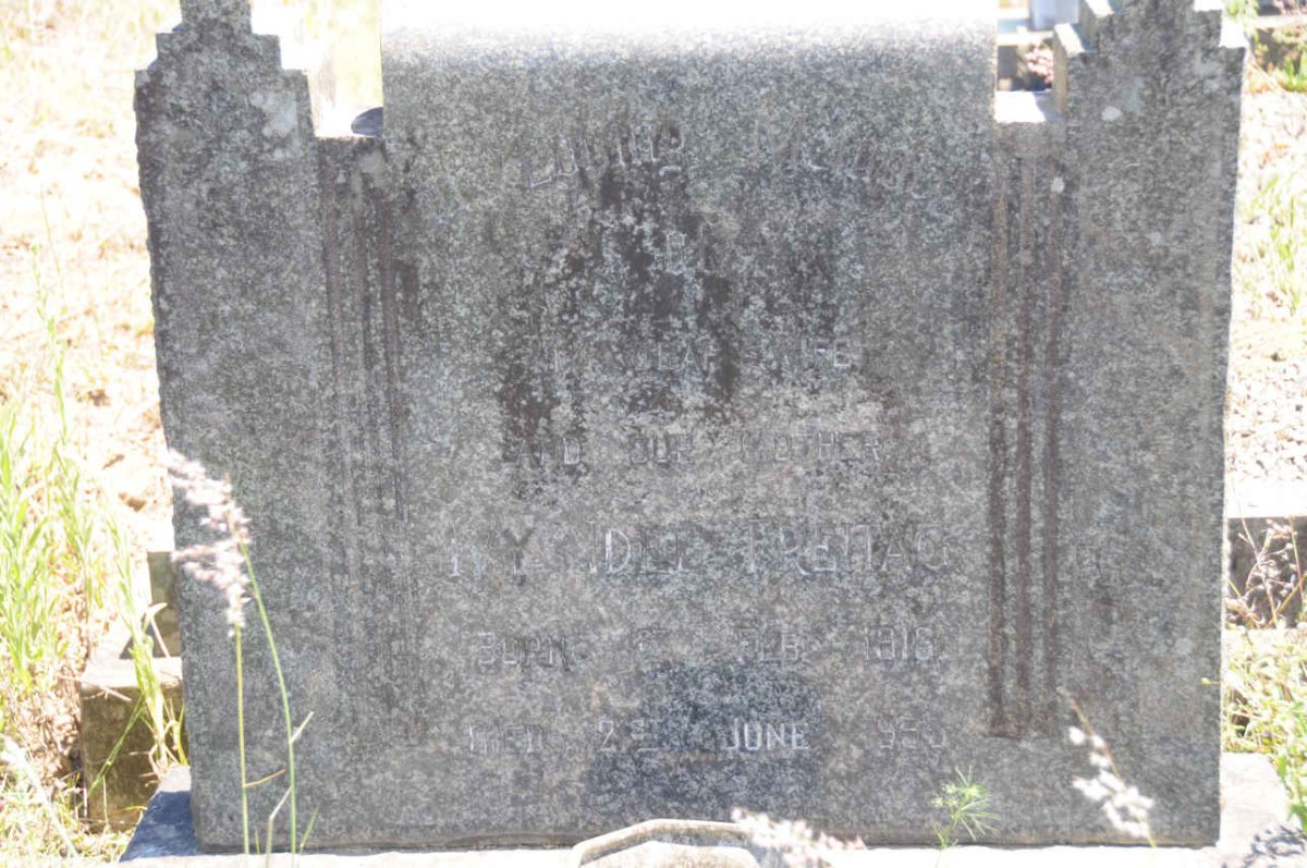 FREITAG Ivy Idel 1918-1955