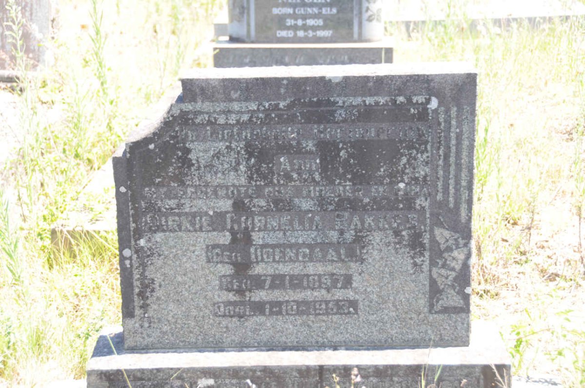 BAKKES Dirkie Cornelia nee ODENDAAL 1897-1953