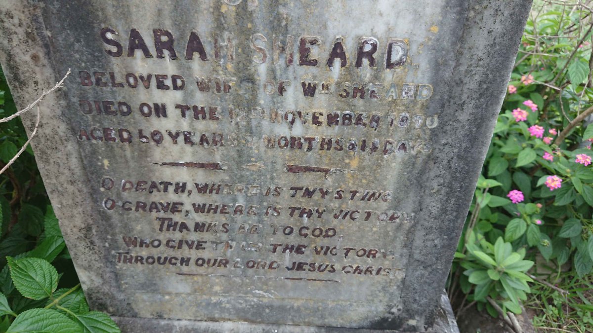 SHEARD Sarah -1890