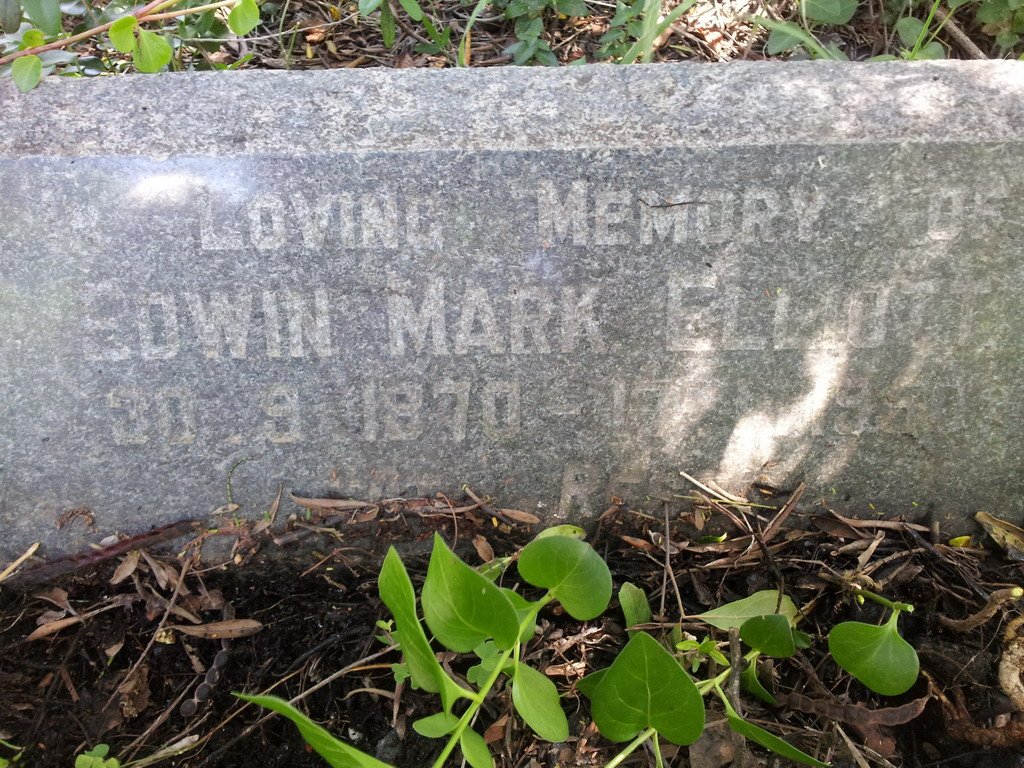 ELLIOTT Edwin Mark 1870-