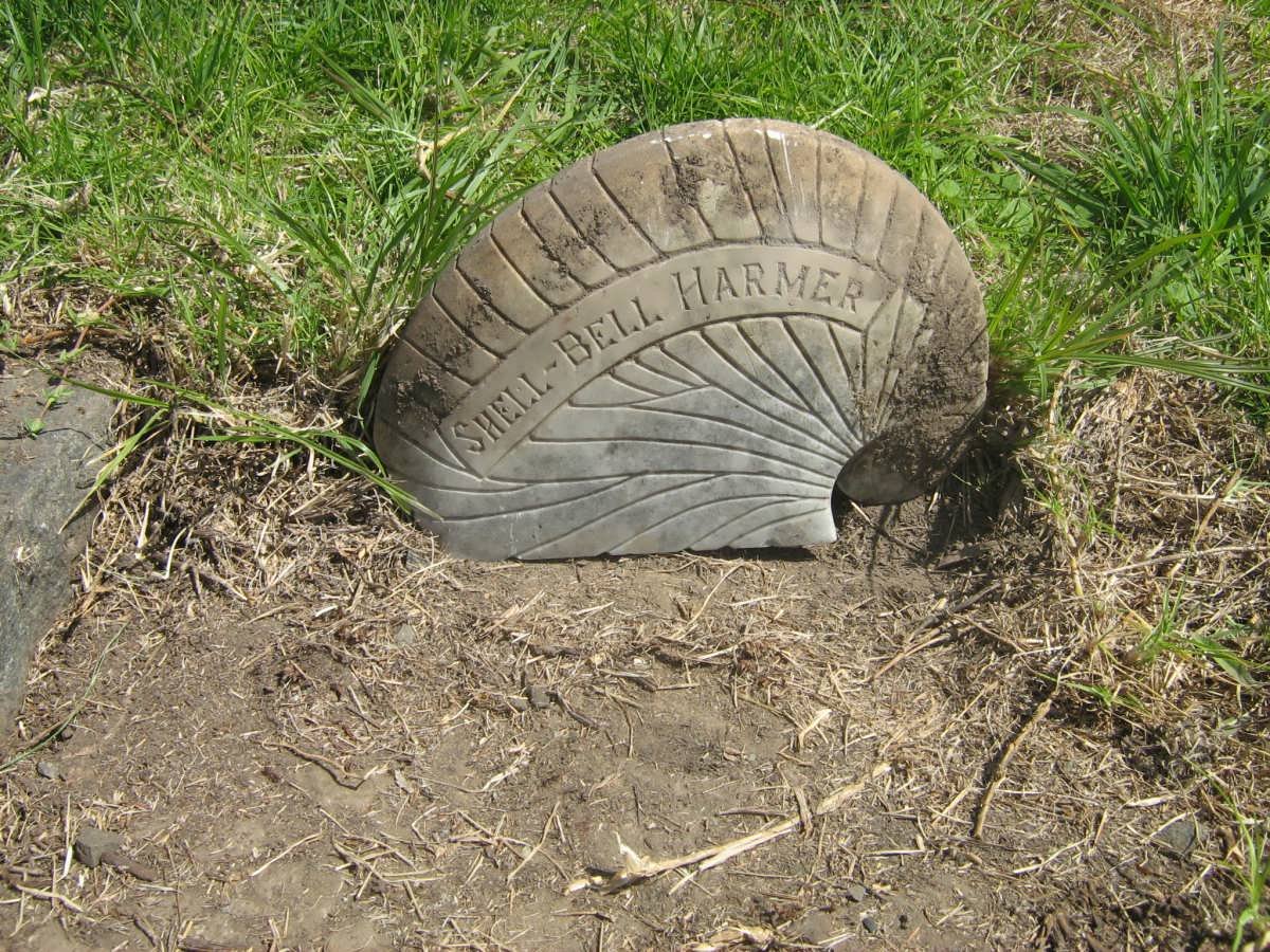 HARMER Shell-Bell