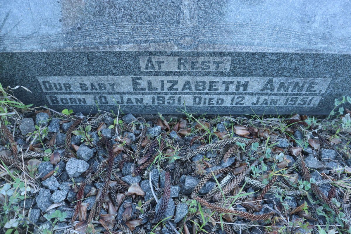 NEWCOMBE Cecil John Powesland 1911-1955 :: NEWCOMBE Elizabeth Anne 1951-1951