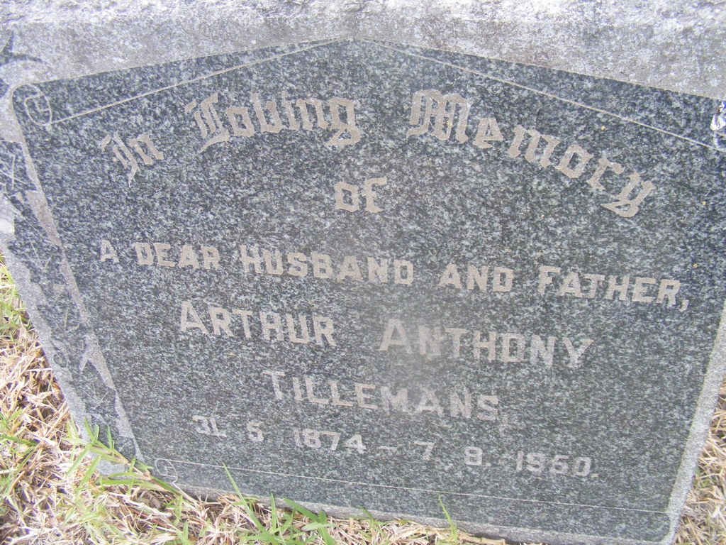 TILLEMANS Arthur Anthony 1874-1950