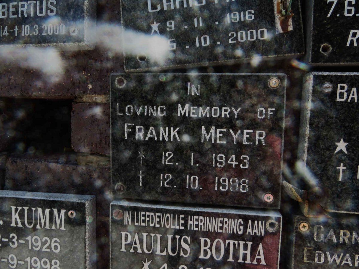MEYER Frank 1943-1998