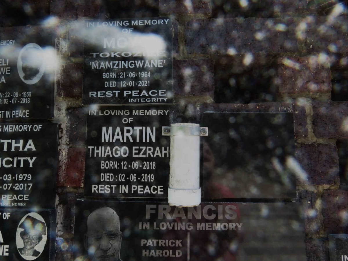 MARTIN Thiago Ezrah 2018-2019