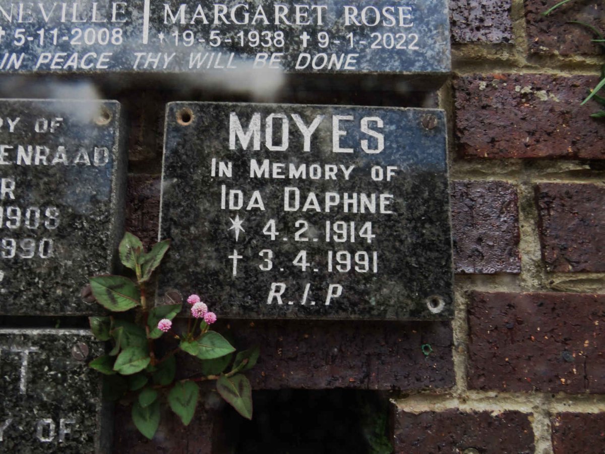MOYES Ida Daphne 1914-1991