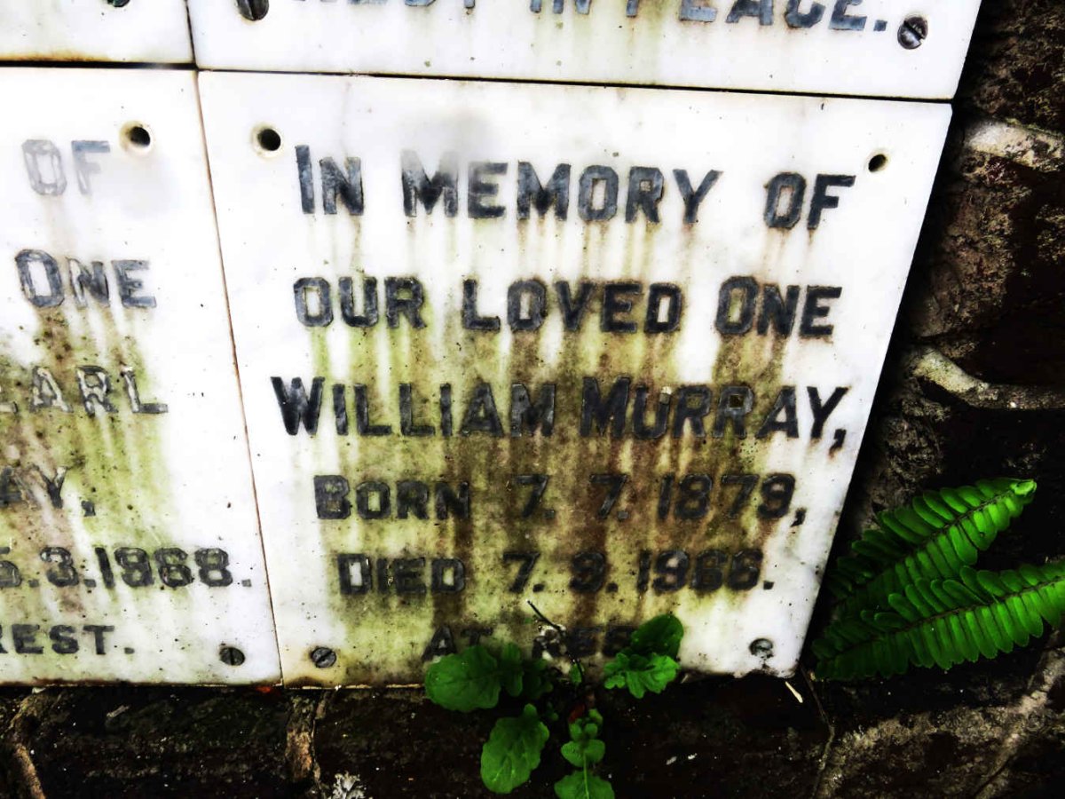 MURRAY William 1879-1966