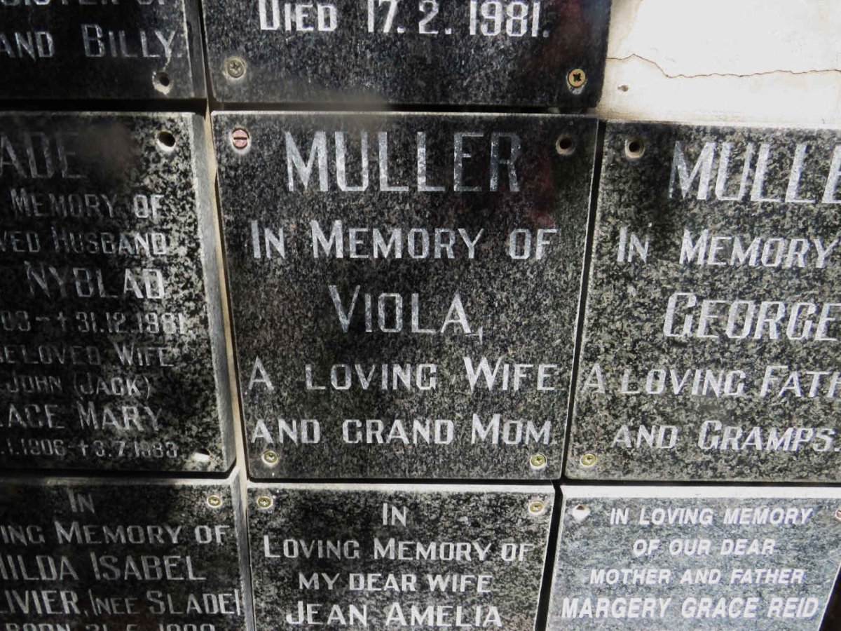 MULLER Viola