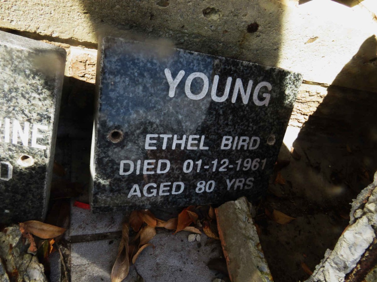 YOUNG Ethel Bird -1961