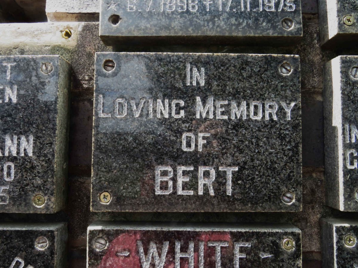 ? Bert