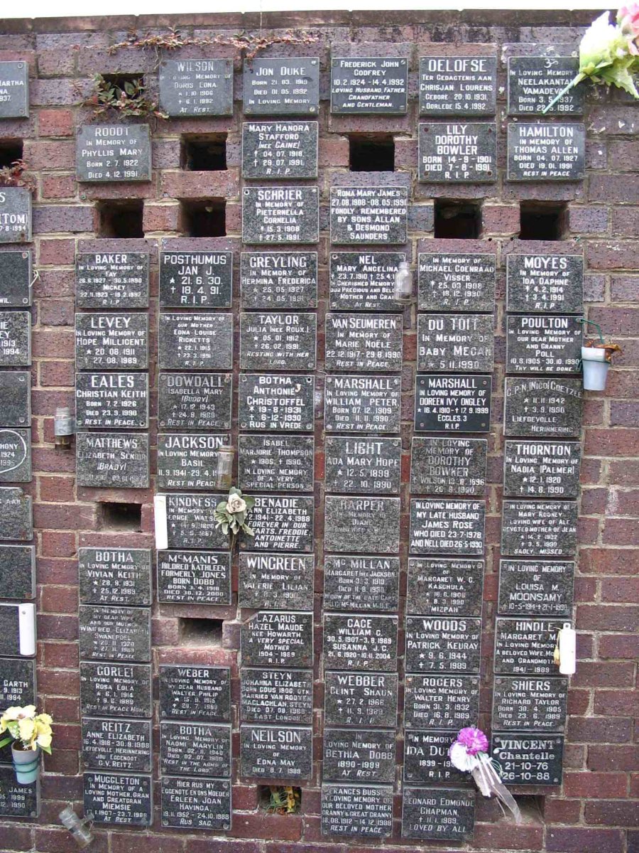 Panel 54