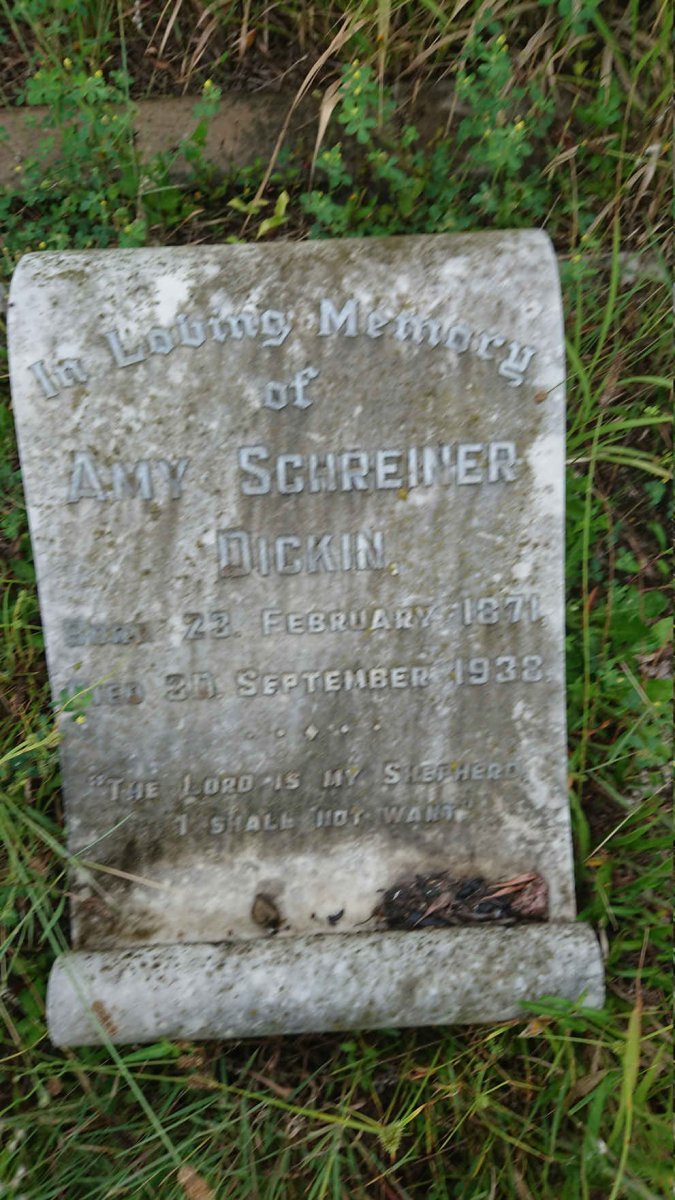 DICKIN Amy Schreiner 1871-1938