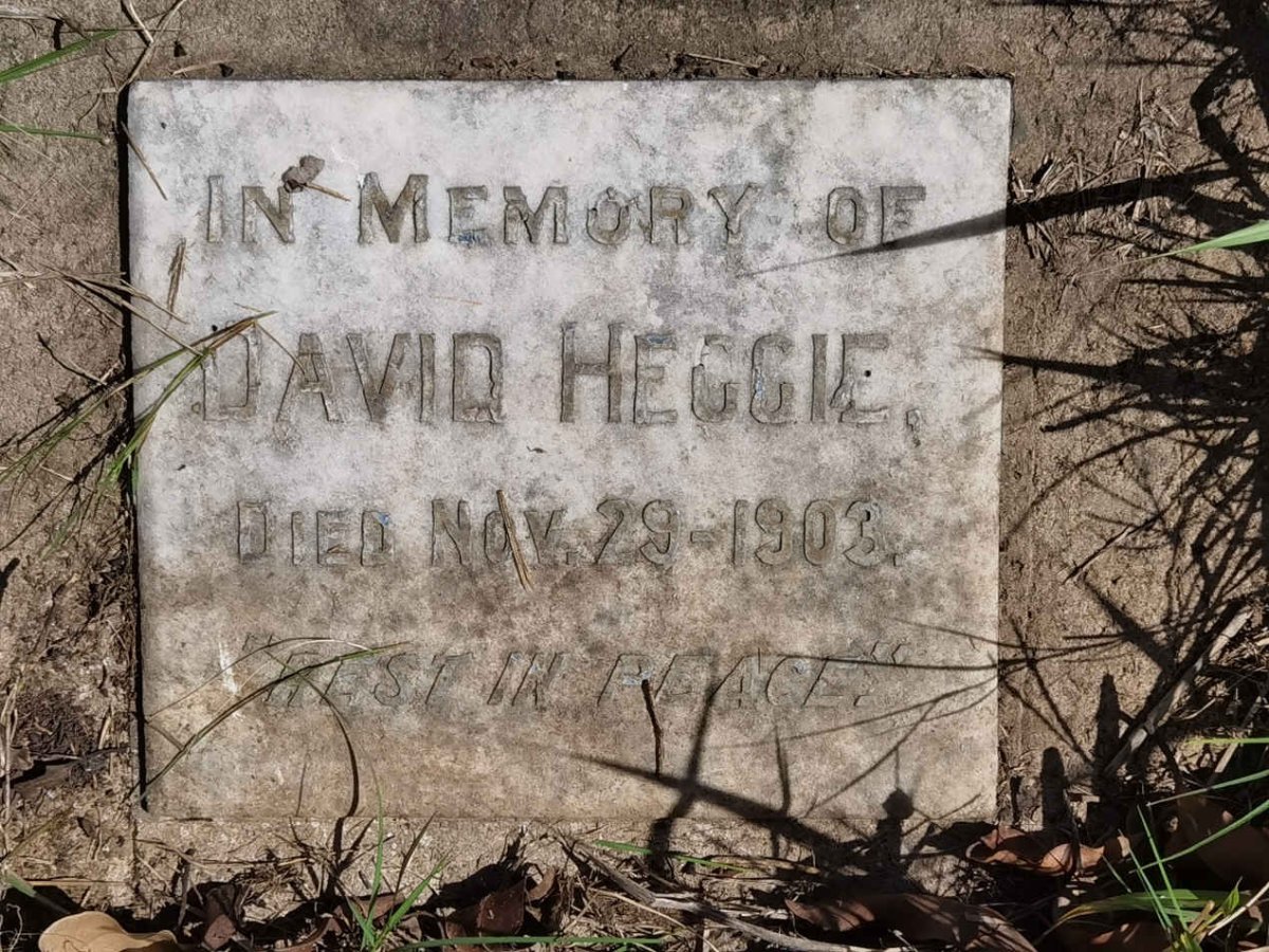 HEGGIE David -1903