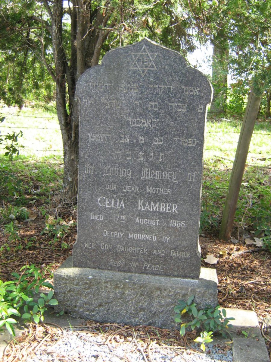 KAMBER Celia -1955
