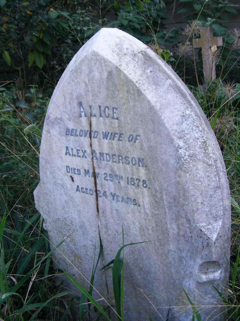 ANDERSON Alice -1878