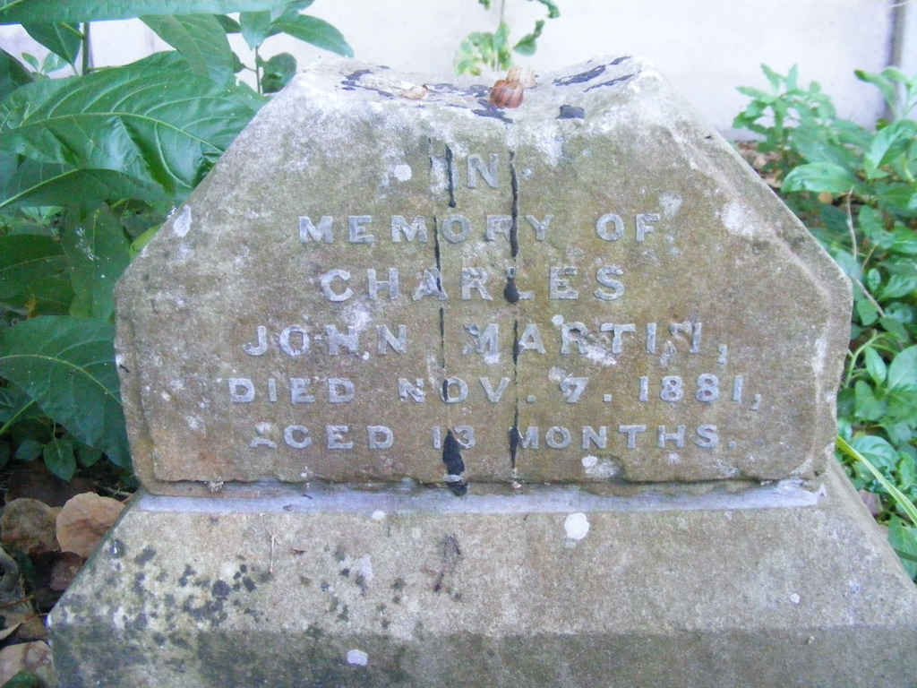 MARTIN Charles John -1881