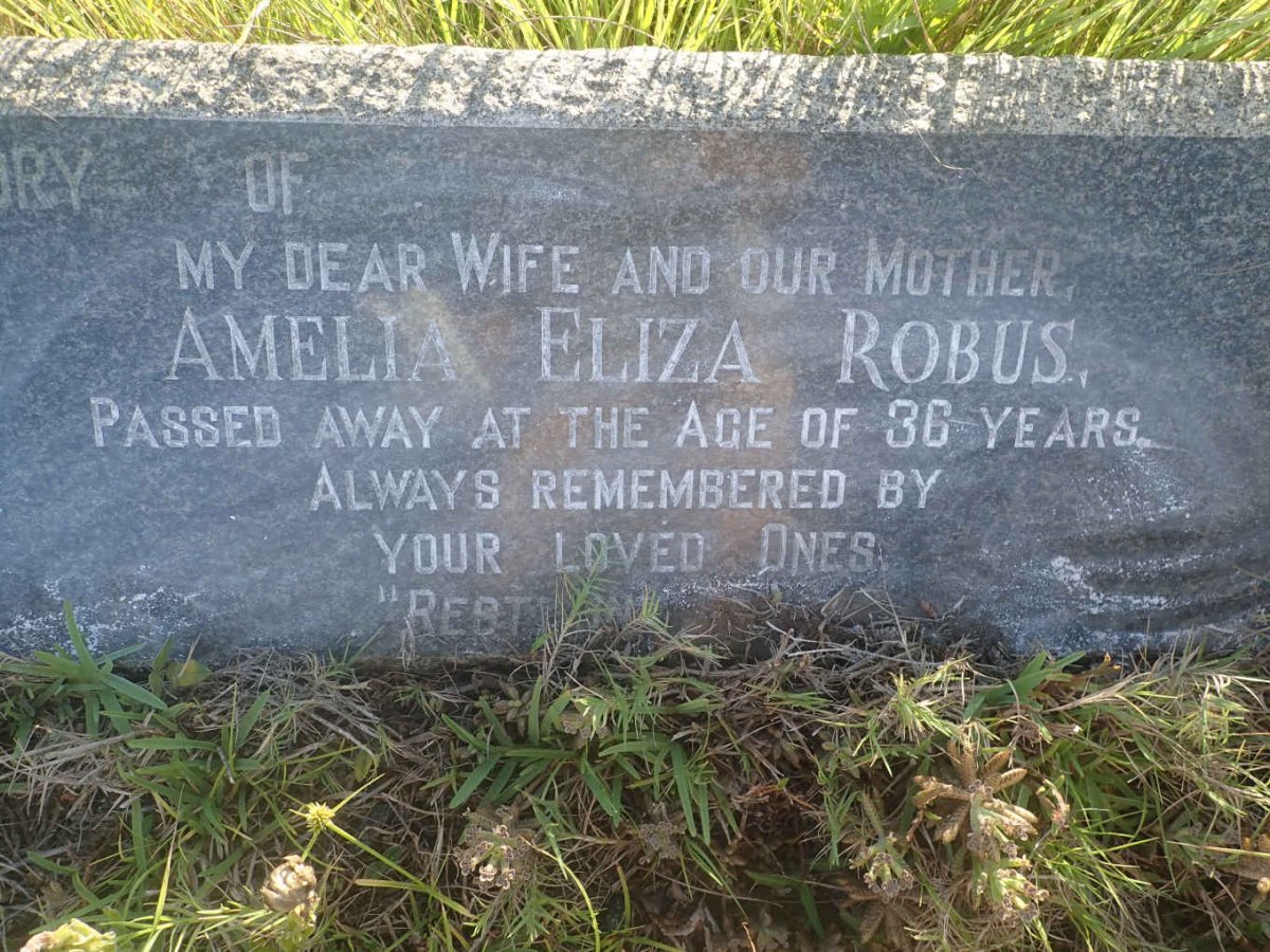 ROBUS Amelia Eliza
