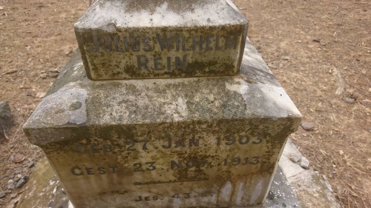 REIN Julius Wilhelm 1903-1913