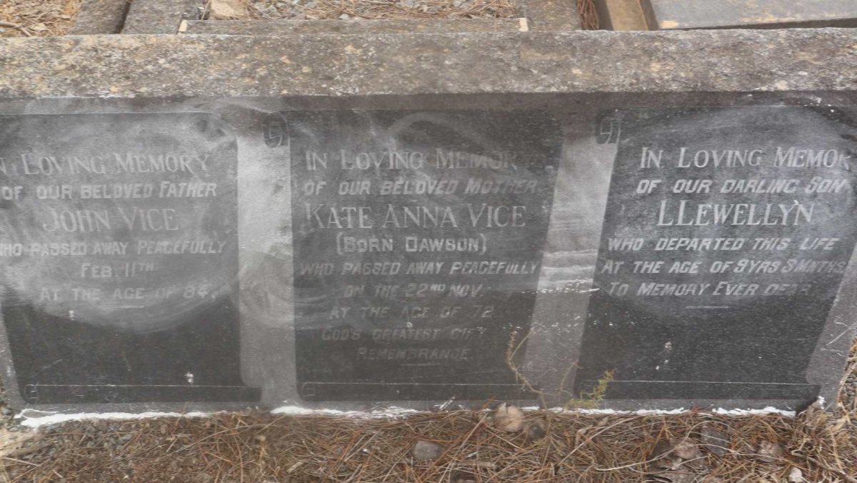 VICE John &amp; Kate Anna DAWSON :: VICE Llewellyn