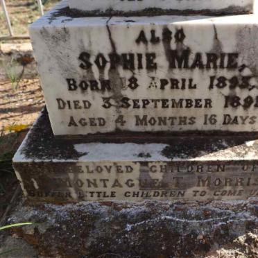 MORRIS David Westcott Orme 1892-1892 :: MORRIS Sophie Marie 1893-1893_3