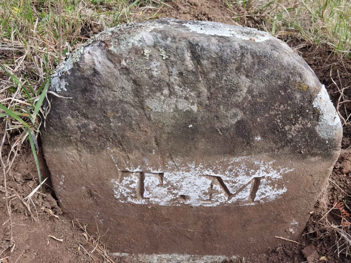 ? T.M.