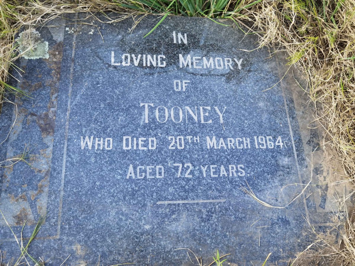 ? Tooney -1964