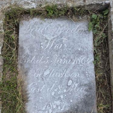 WEI? F? Theodor? 1864-18?7
