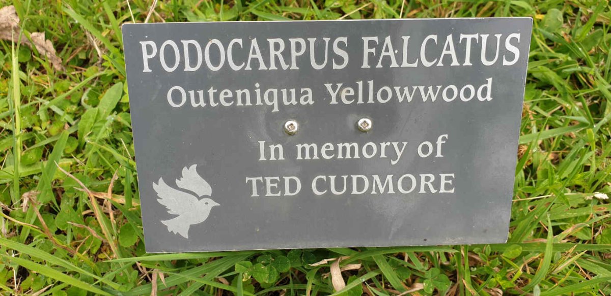 CUDMORE Ted