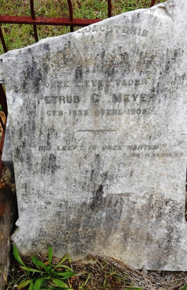 MEYER Petrus G. 1855-1905