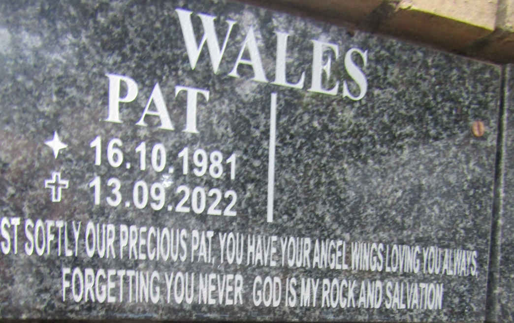 WALES Pat 1981-2022