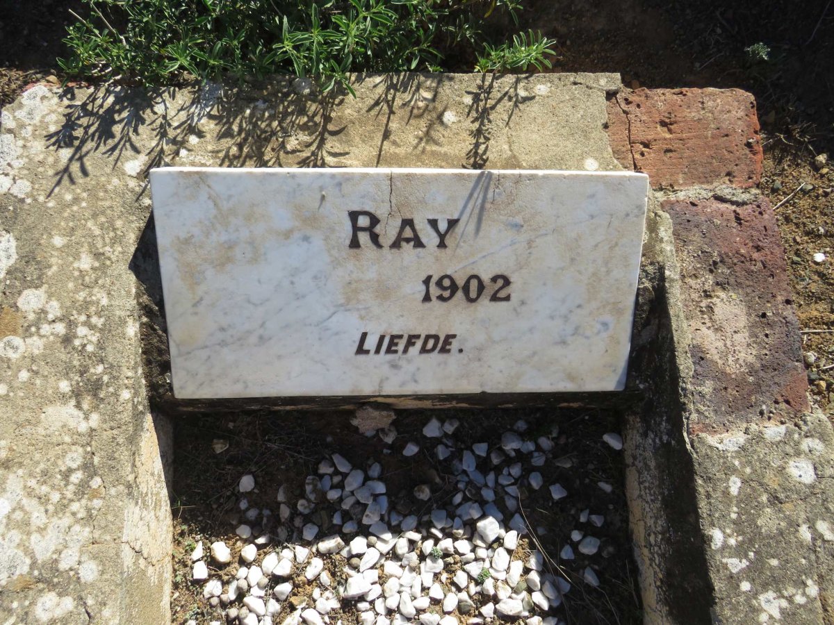 ? Ray -1902