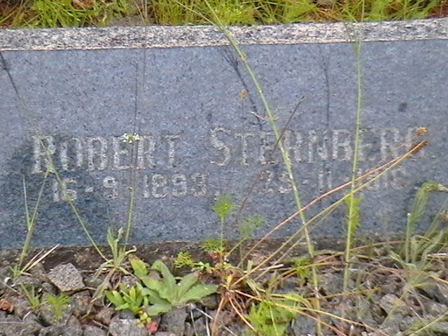 STERNBERG Robert 1893-1916